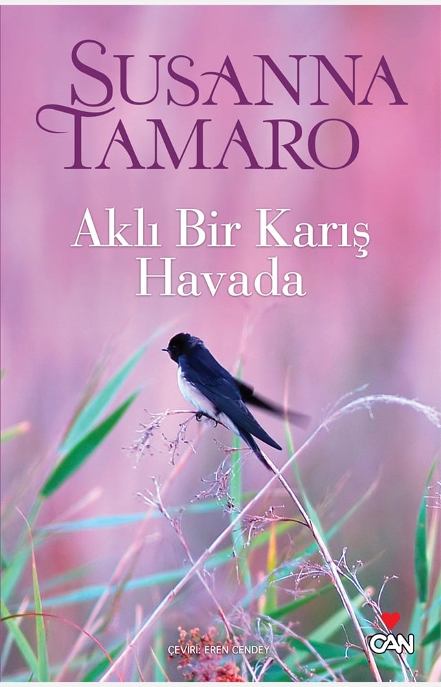 Aklı Bir Karış Havada
