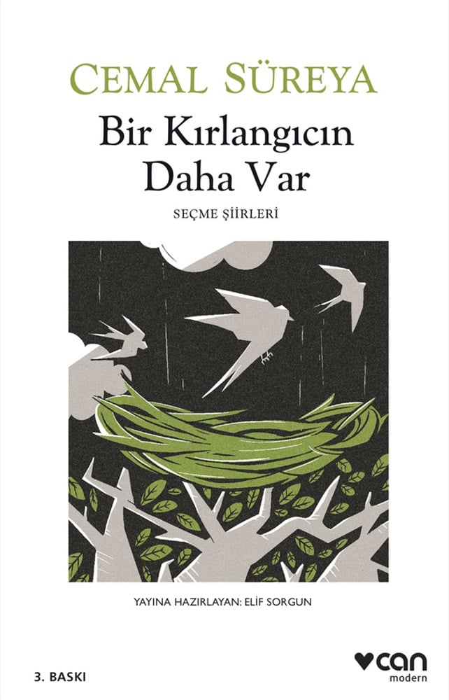 Bir Kırlangıcın Daha Var