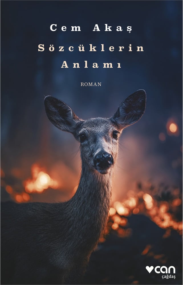 Sözcüklerin Anlamı