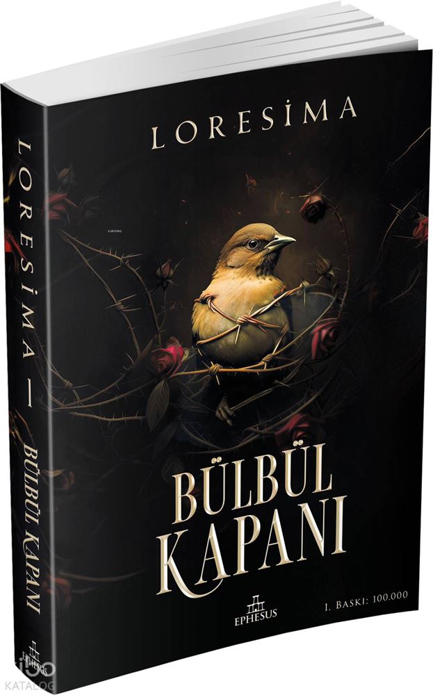 BÜLBÜL KAPANI - 1 (KARTON KAPAK)