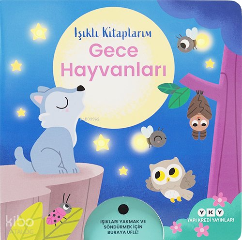 Işıklı Kitaplarım: Gece Hayvanları (Ciltli)