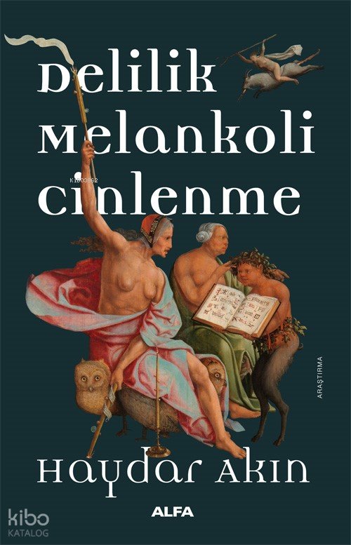 Delilik Melankoli Cinlenme - Haydar Akın