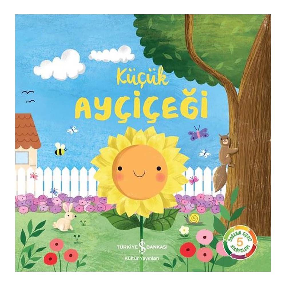 KÜÇÜK AYÇİÇEĞİ