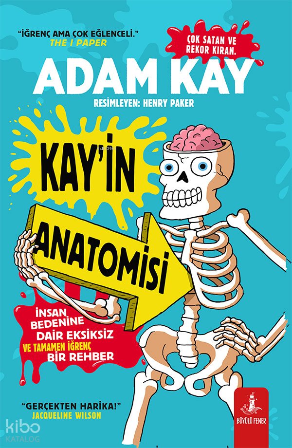 Kay'in Anatomisi