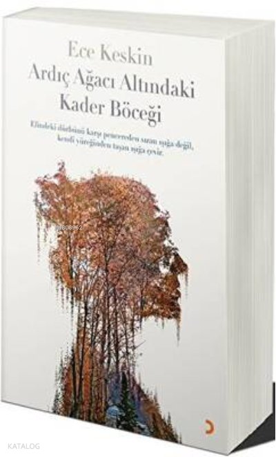 Ardıç Ağacı Altındaki Kader Böceği