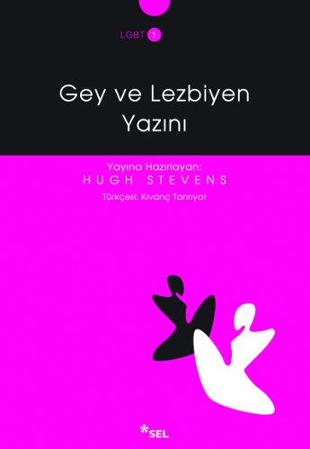 Gey ve Lezbiyen Yazını