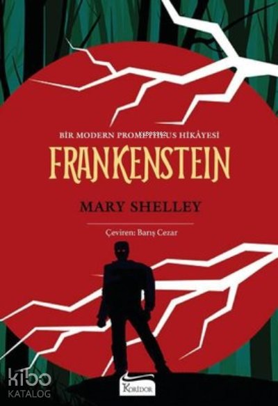 Frankenstein ( Bez Ciltli ) - Mary Shelley