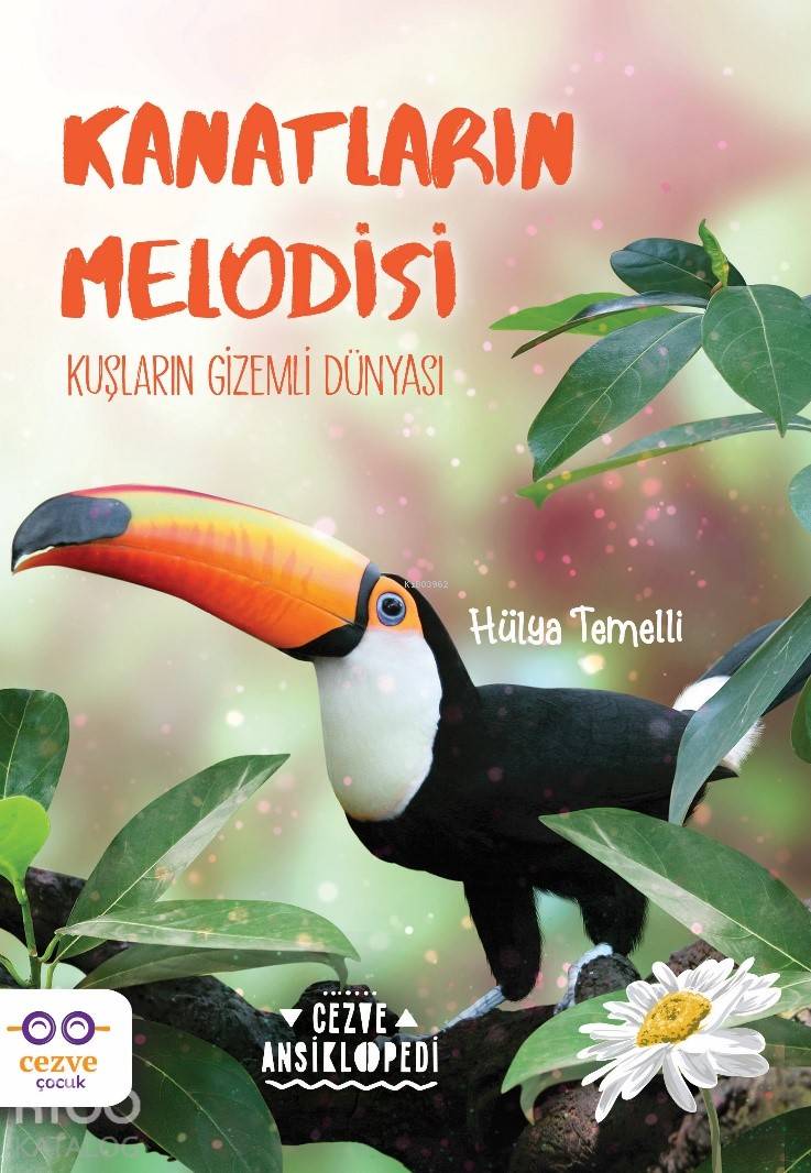 Kanatların Melodisi - Hülya Temelli