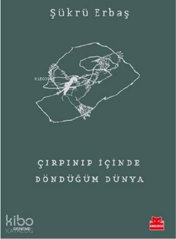 Çırpınıp İçinde Döndüğüm Dünya - Şükrü Erbaş
