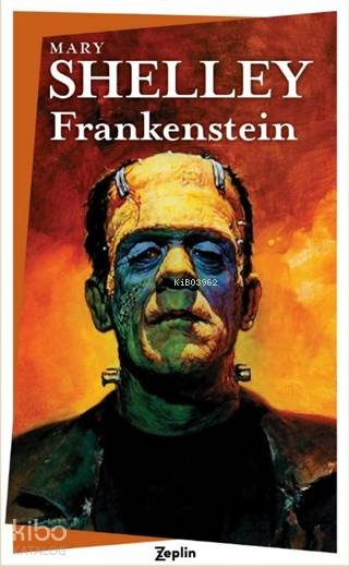 Frankenstein - Mary Shelley