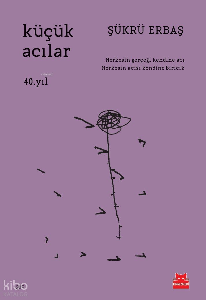 Küçük Acılar - Şükrü Erbaş