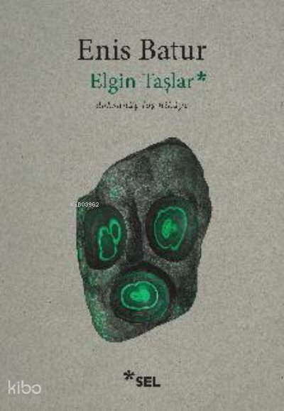 Elgin Taşlar