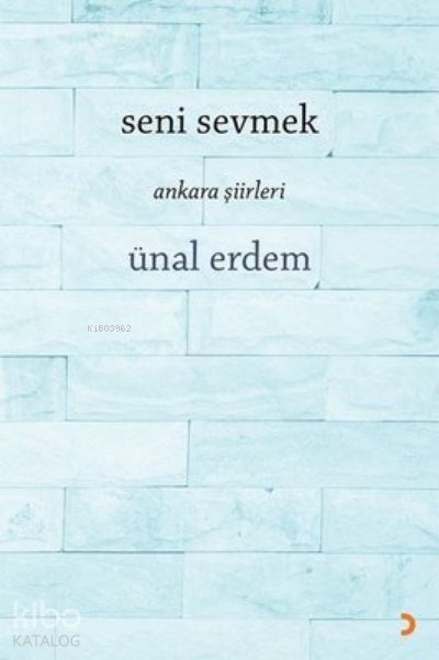 Seni Sevmek Ankara Şiirleri