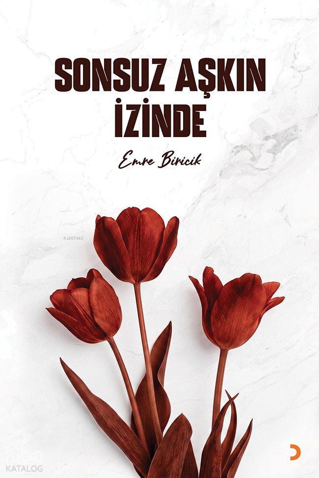 Sonsuz Aşkın İzinde - Emre Biricik