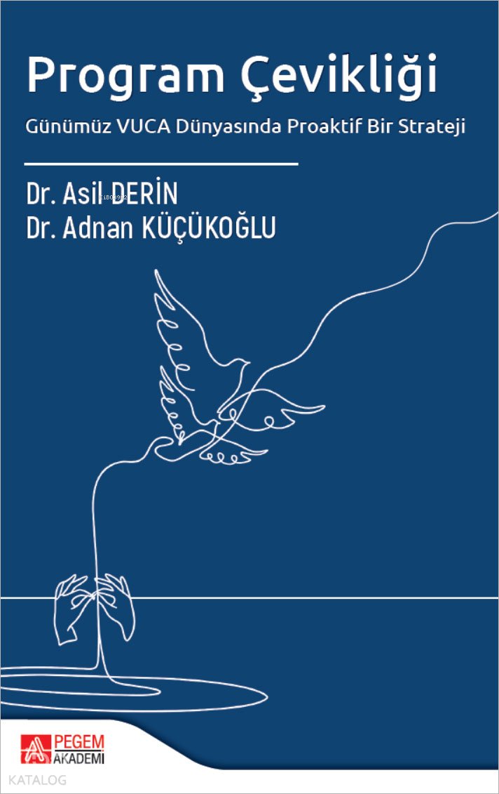Program Çevikliği