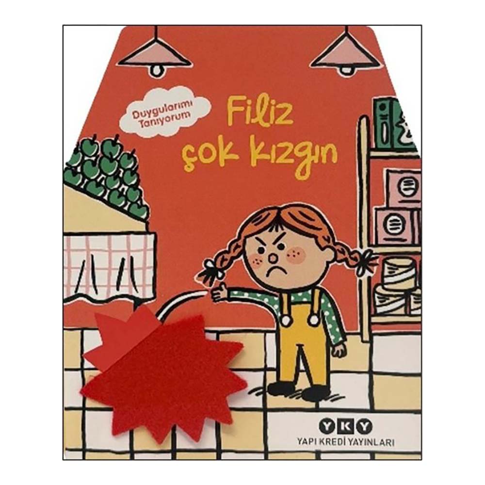 DUYGULARIMI TANIYORUM - FİLİZ ÇOK K....