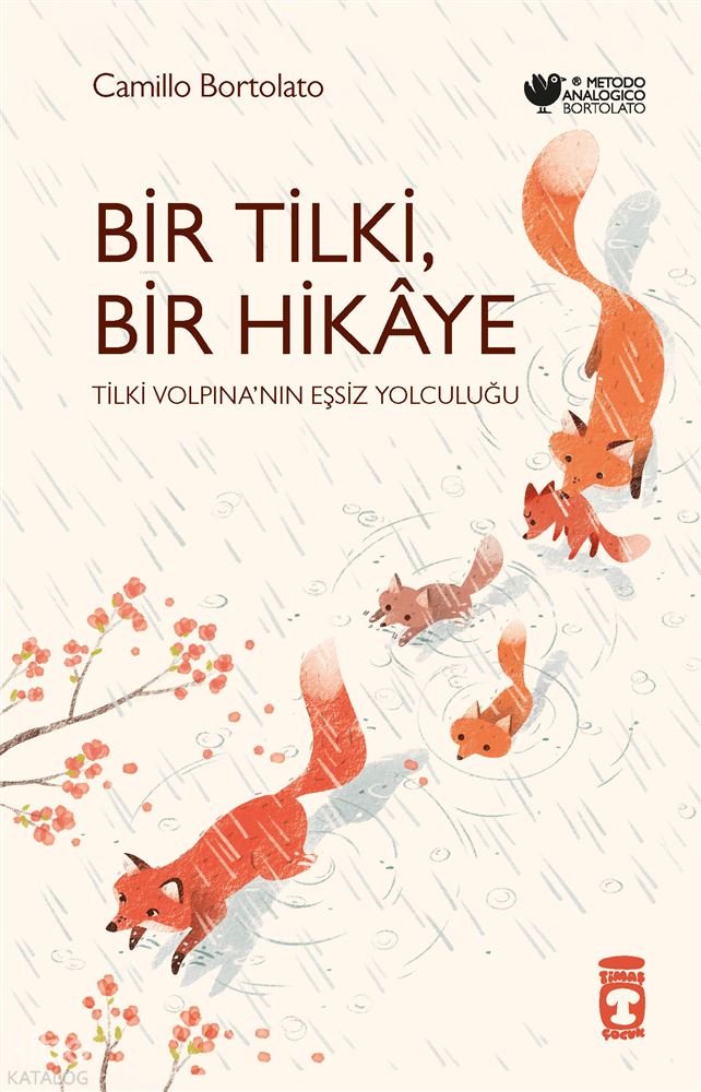 BİR TİLKİ BİR HİKAYE