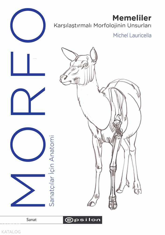 MORFO - MEMELİLER