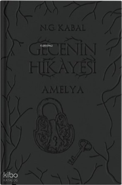 Gecenin Hikayesi
