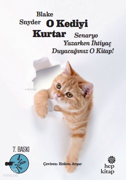O Kediyi Kurtar: Senaryo Yazarken İhtiyaç Duyacağınız O Kitap!