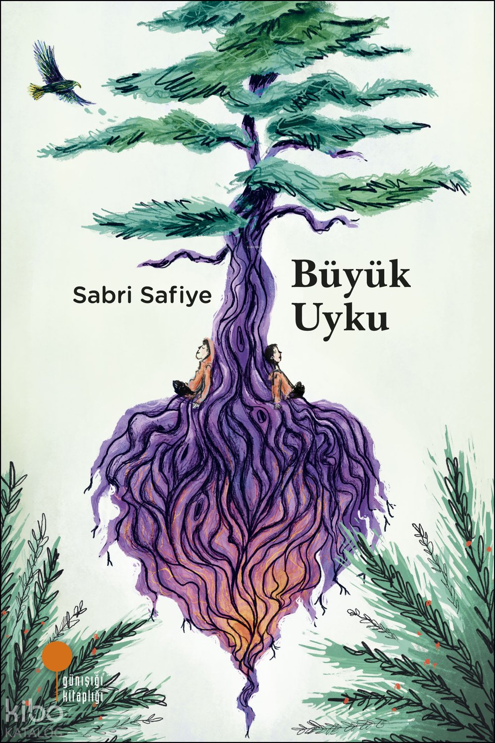 Büyük Uyku - Sabri Safiye