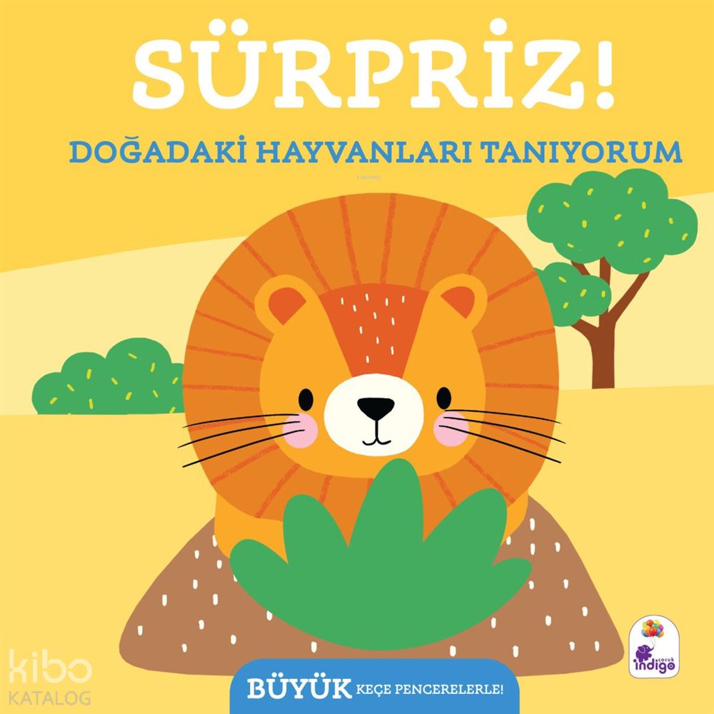 SÜRPRİZ - DOĞADAKİ HAYVANLARI TANIYORUM