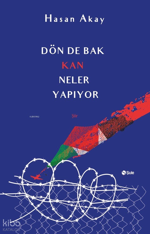 Dön De Bak Kan Neler Yapıyor