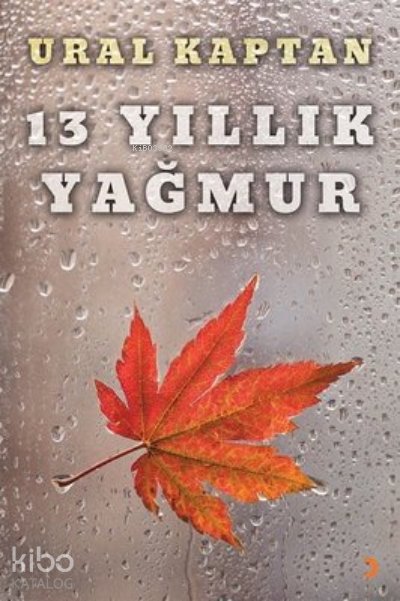 13 Yıllık Yağmur