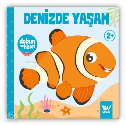 Dokun ve Hisset Denizde Yaşam