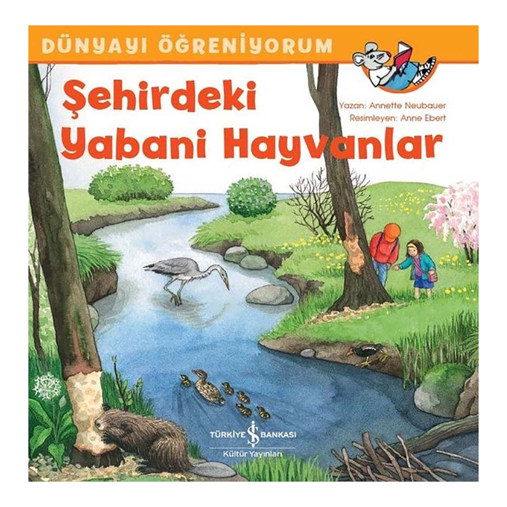 ŞEHİRDEKİ YABANİ HAYVANLAR