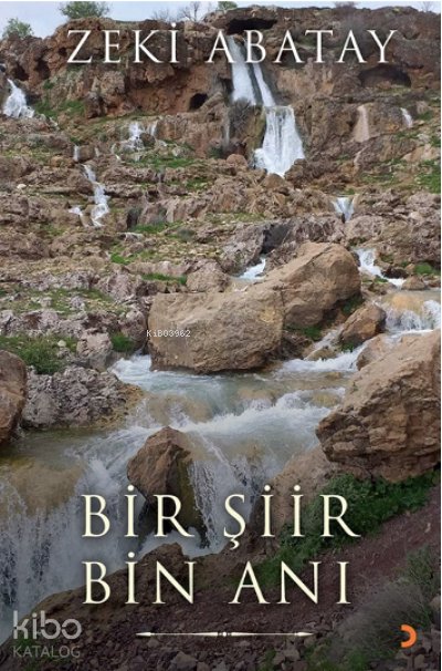 Bir Şiir Bin Anı