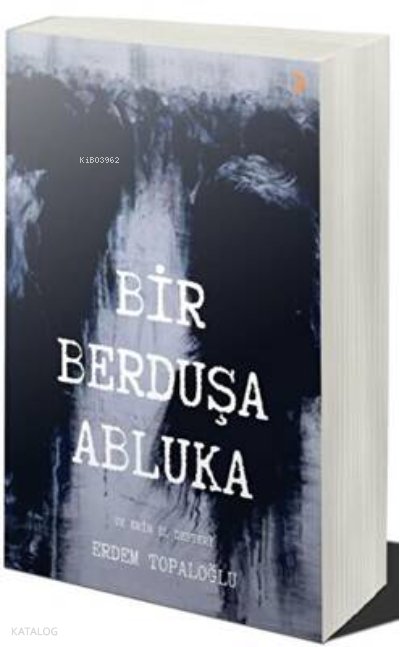 Bir Berduşa Abluka