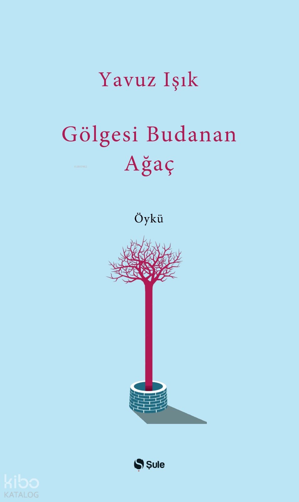 Gölgesi Budanan Ağaç
