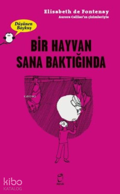 Bir Hayvan Sana Baktiğinda - Düşünen Baykuş