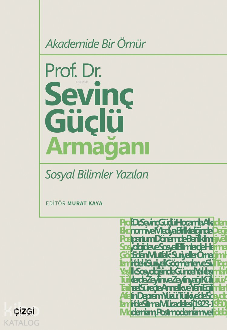 Akademide Bir Ömür Prof. Dr. Sevinç Güçlü Armağanı
