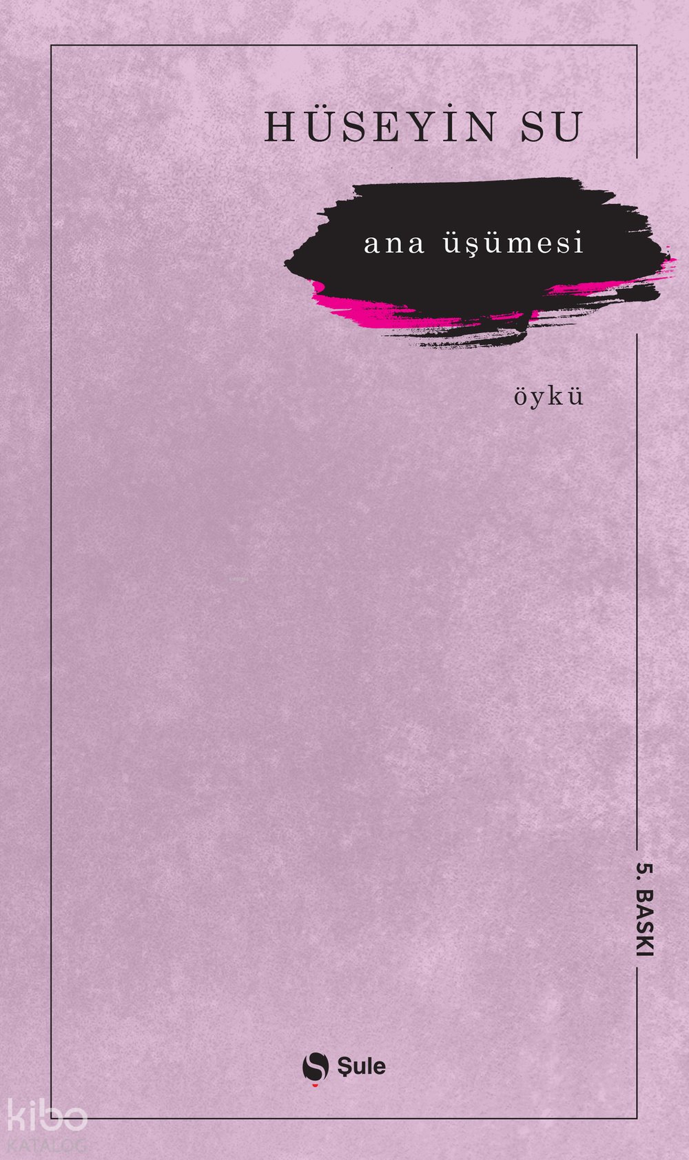 Ana Üşümesi - Hüseyin Su