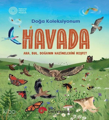 Havada