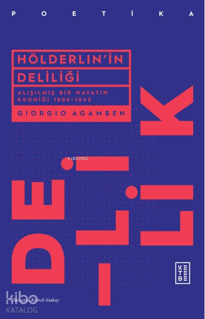 Hölderlin'in Deliliği - Giorgio Agamben