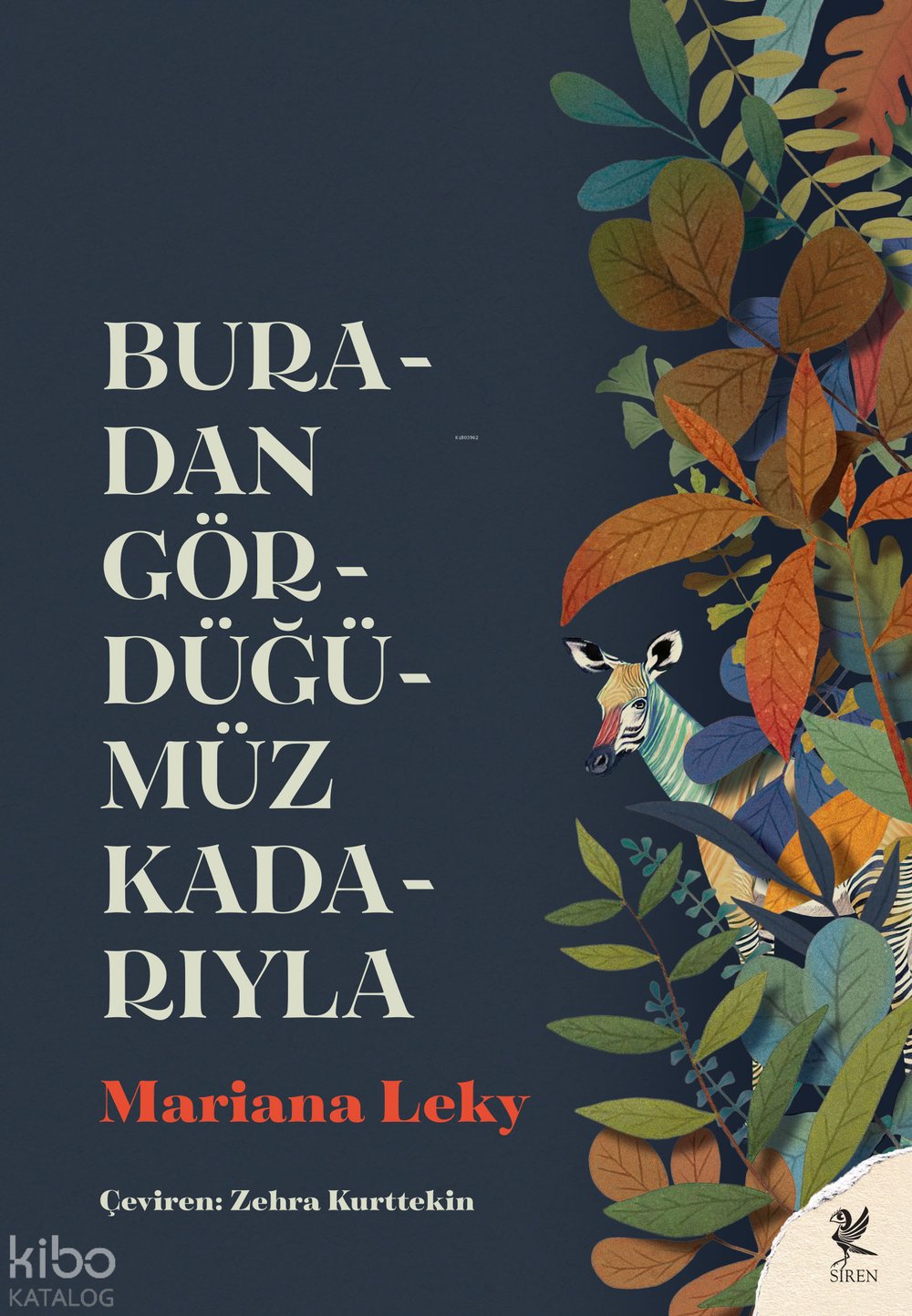 Buradan Gördüğümüz Kadarıyla