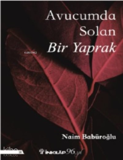 Avucumda Solan Bir Yaprak