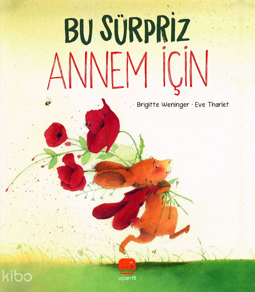 Bu Sürpriz Annem İçin