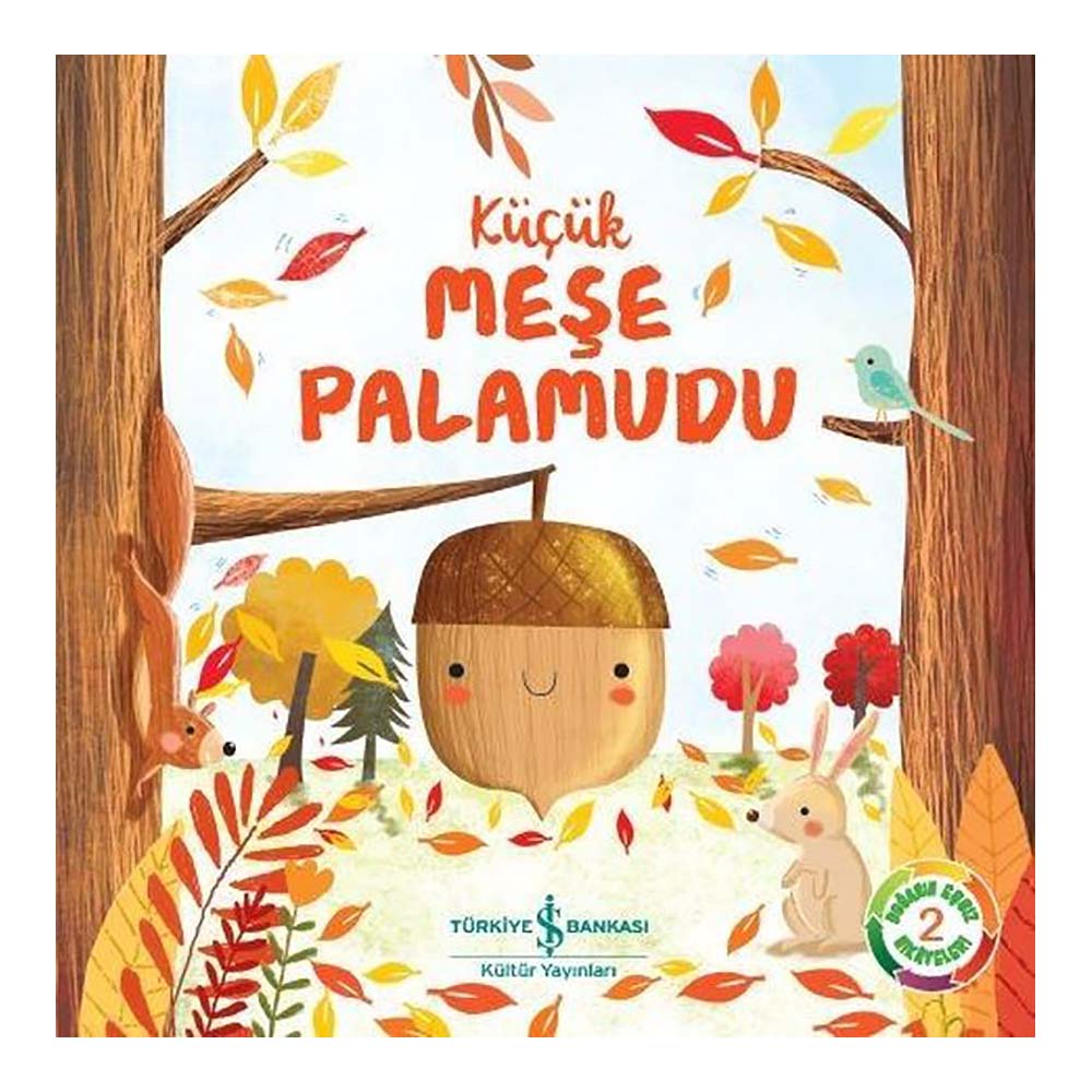 KÜÇÜK MEŞE PALAMUDU