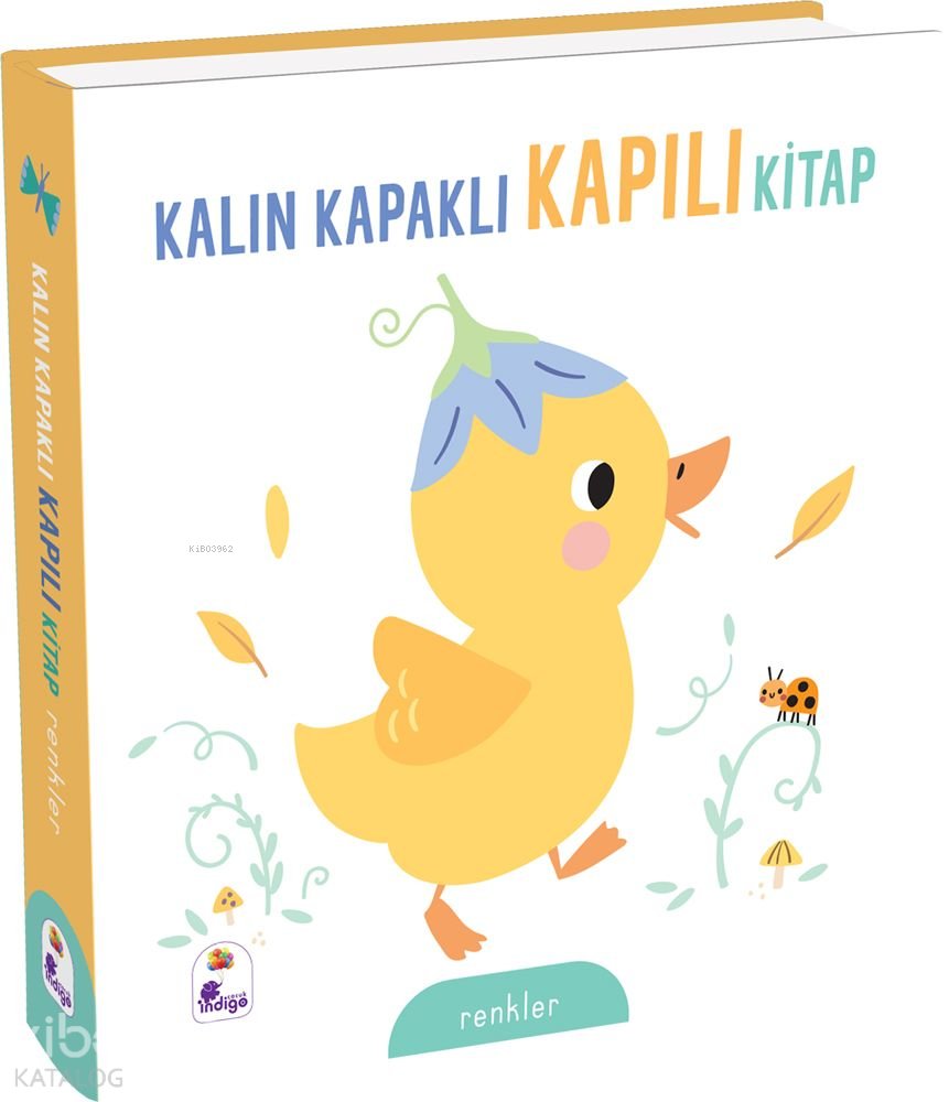 Kalın Kapaklı Kapılı Kitap - Renkler (Ciltli)
