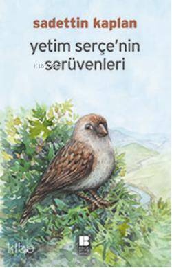Yetim Serçe'nin Serüveni - Sadettin Kaplan