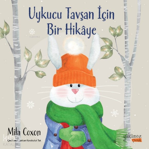 Uykucu Tavşan İçin Bir Hikaye