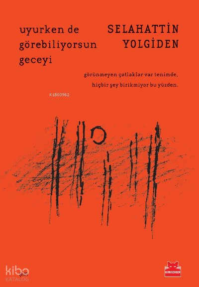 Uyurken de Görebiliyorsun Geceyi