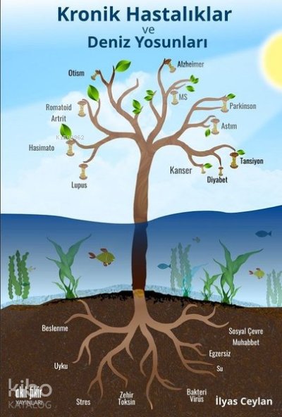 Kronik Hastalıklar ve Deniz Yosunları