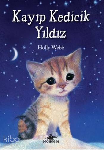 Kayıp Kedicik Yıldız