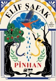 Pinhan - Elif Şafak