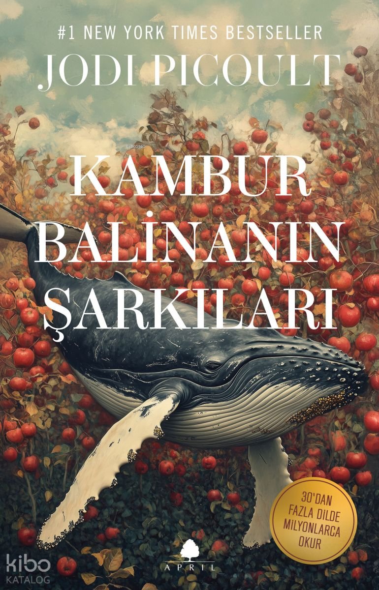 Kambur Balinanın Şarkıları - Jodi Picoult